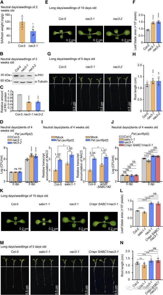 《Cell Host & Microbe | 研究揭示lncRNA平衡植物免疫和生长的机制！》