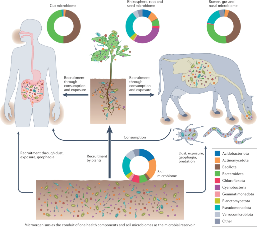 《Nature Reviews Microbiology | 土壤微生物组与同一健康！》