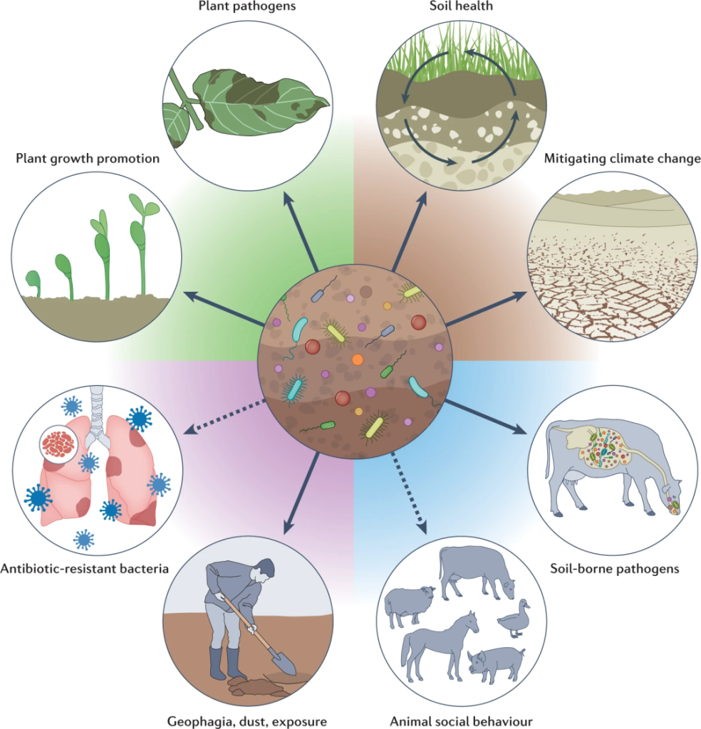 《Nature Reviews Microbiology | 土壤微生物组与同一健康！》