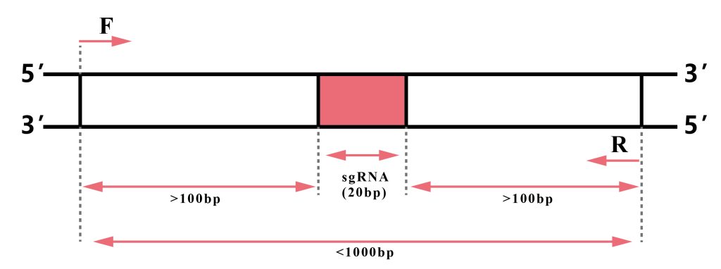 《宝藏！转基因株系检测的N种方法》