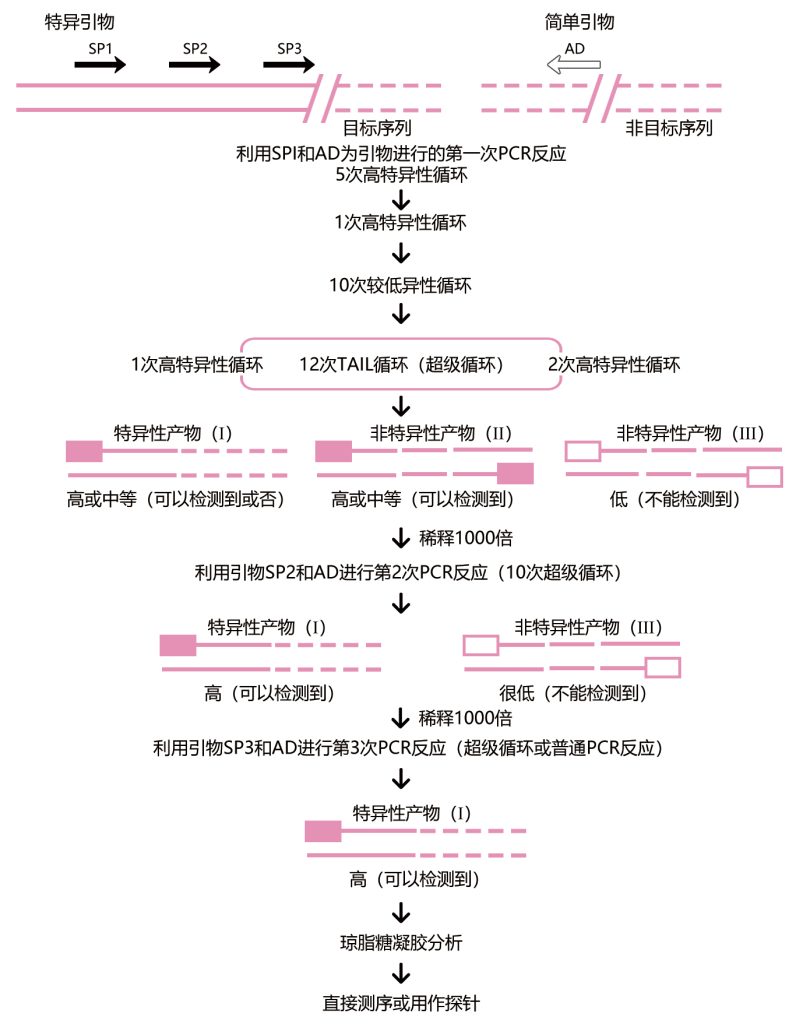 《宝藏！转基因株系检测的N种方法》