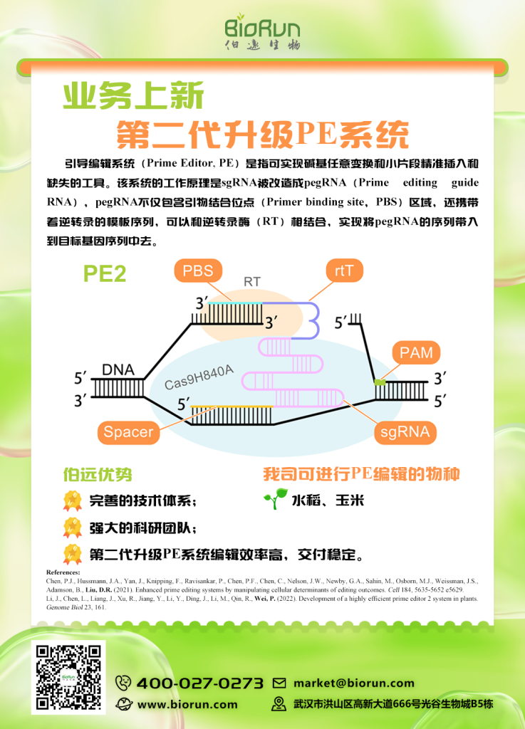 《【业务上新】第二代升级PE！这才是基因编辑应该有的水平》