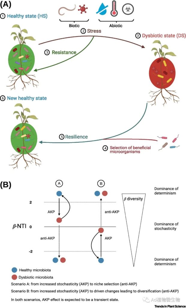 《Trends in plant science | 植物微生物群失调和安娜-卡列尼娜原则！》