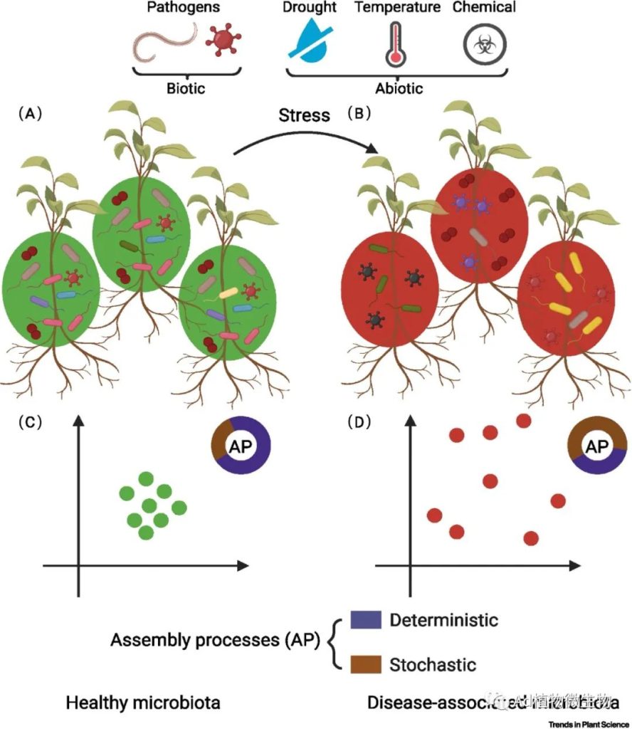 《Trends in plant science | 植物微生物群失调和安娜-卡列尼娜原则！》