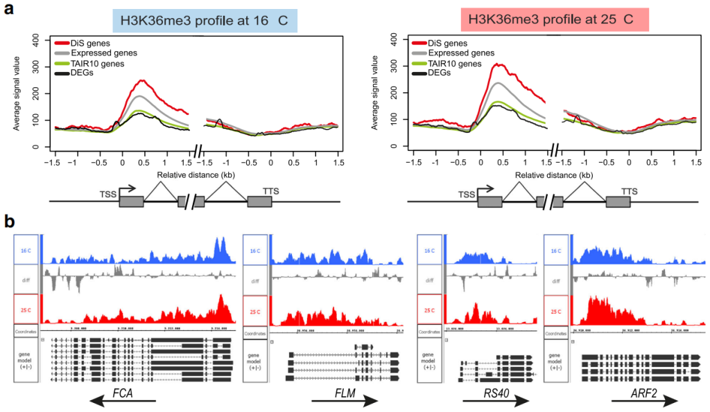 《解析表观遗传学的工具——ChIP-seq（二）》