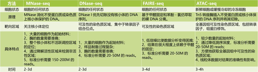 《解析表观遗传学的工具——ATAC-seq（一）》