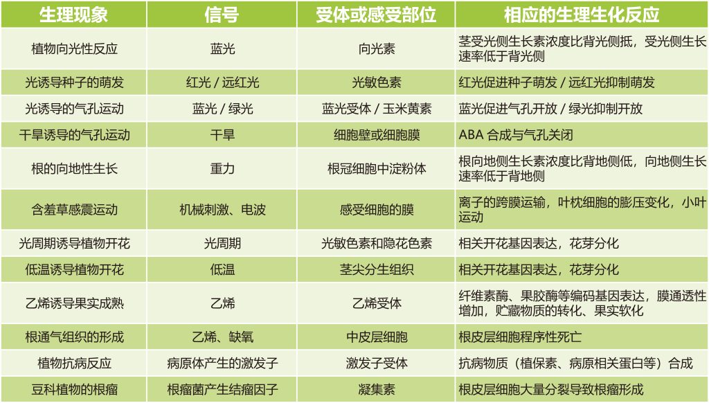 《植物信号转导概述——学习植物的交流方式》