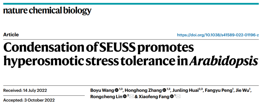 《Nature子刊 | 植物感知渗透胁迫的新机制被揭示！》