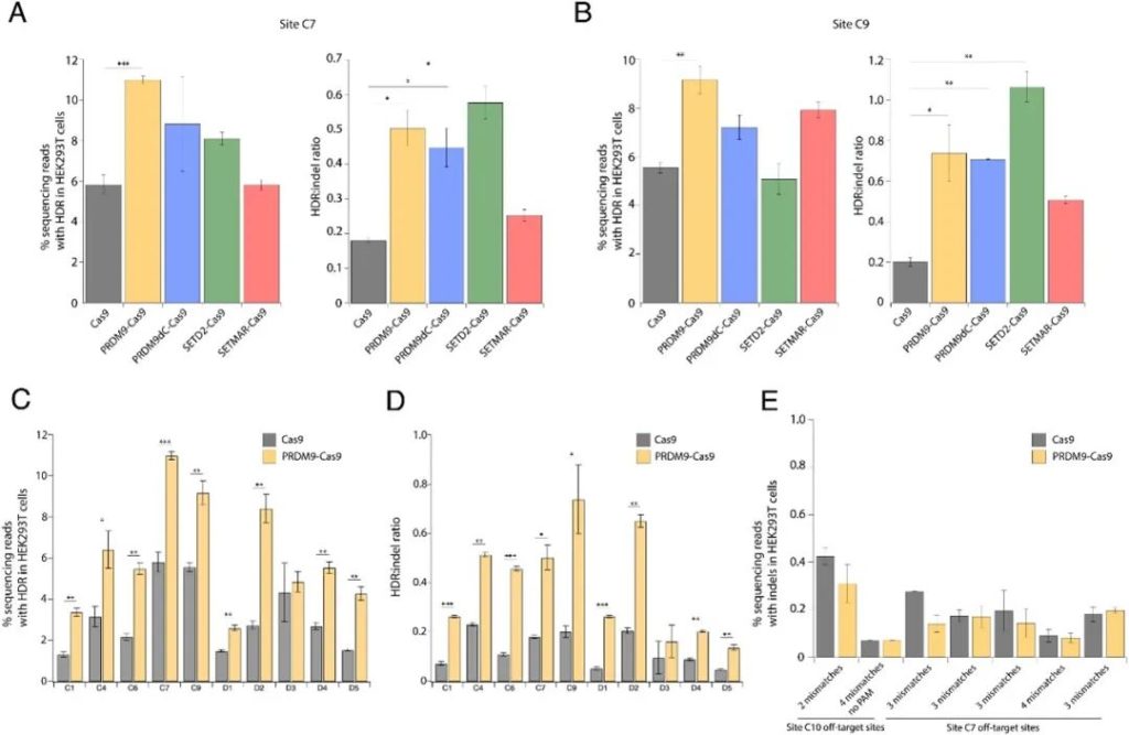 《PNAS | 通过染色体修饰以增强CRISPR/Cas9的HDR（基因敲入）效率》