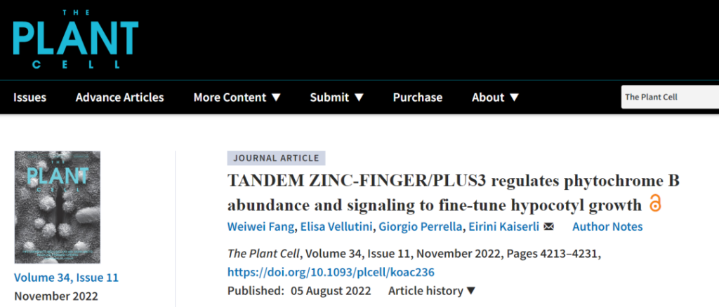 《Plant Cell | 转录调节因子TZP调控植物的红光响应》