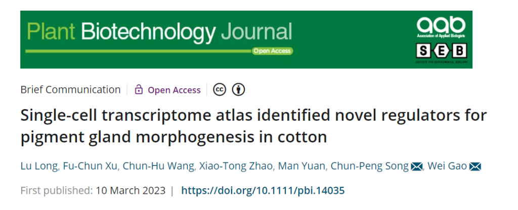 《河南大学宋纯鹏/高巍团队利用单细胞测序技术鉴定棉花色素腺体形成的新调控因子》