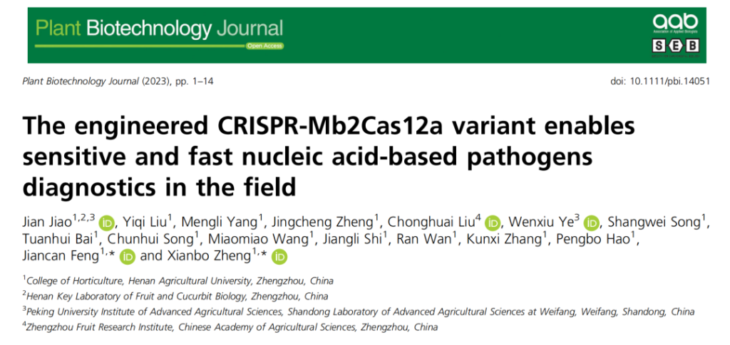 《PBJ | 河南农业大学冯建灿/郑先波/焦健研究团队揭示突变型Mb2Cas12a蛋白在园艺作物病原物检测中的应用》