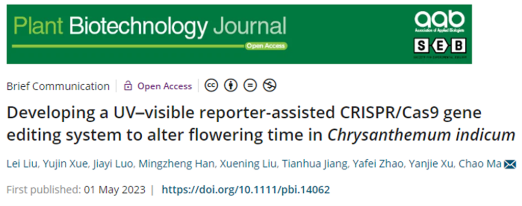 《PBJ | 中国农业大学马超课题组在菊花基因编辑技术方面取得技术突破》