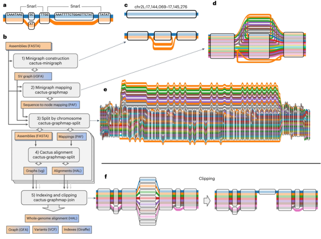 《NBT | 一种构建图形泛基因组的新方法“Minigraph-Cactus”》