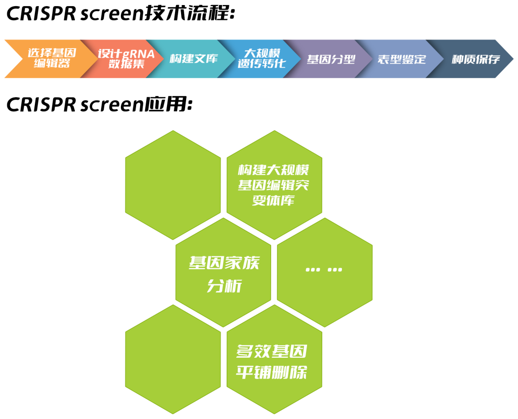 《CRISPR screen——极具潜力的高通量筛选技术》