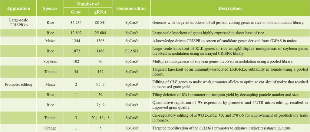 《CRISPR screen——极具潜力的高通量筛选技术》