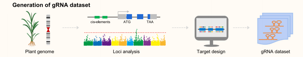 《CRISPR screen——极具潜力的高通量筛选技术》