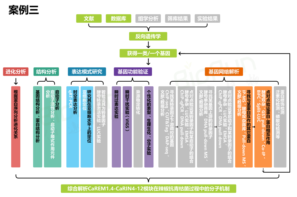 《没有转化体系的物种，如何研究其基因功能？（四）》