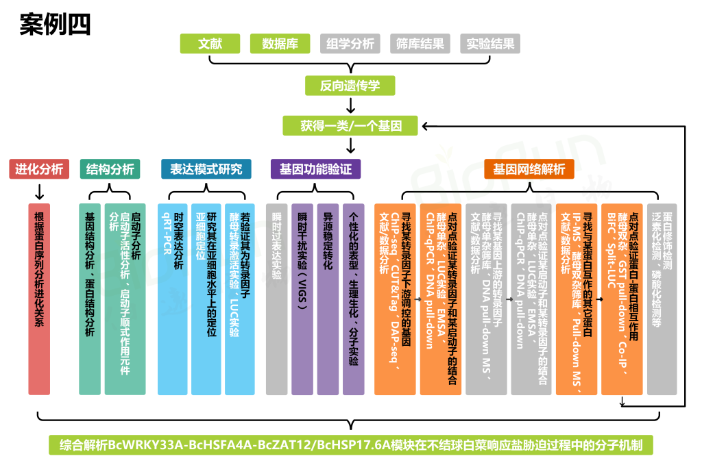《没有转化体系的物种，如何研究其基因功能？（四）》
