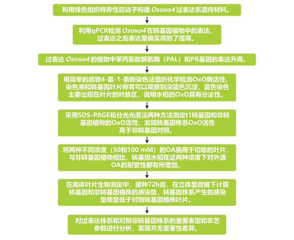 《作物改良与诱导型启动子和组织特异性启动子更配》