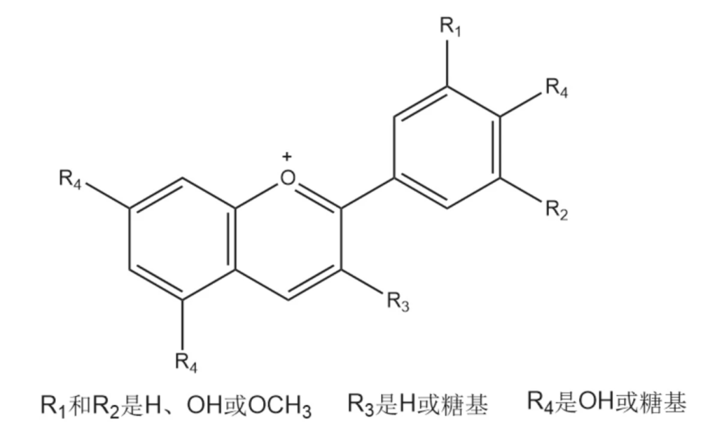 《多彩大米，恰如多彩人生》