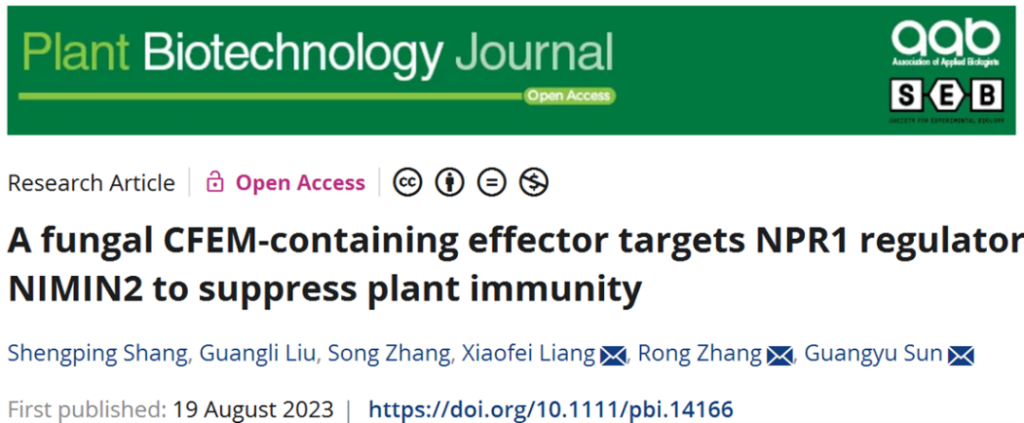 《PBJ | 西北农林科技大学孙广宇团队发现炭疽菌效应蛋白CfEC12致病新机制》