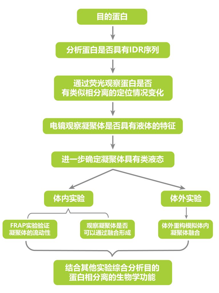 《相变无奇，聚合分离——相分离》