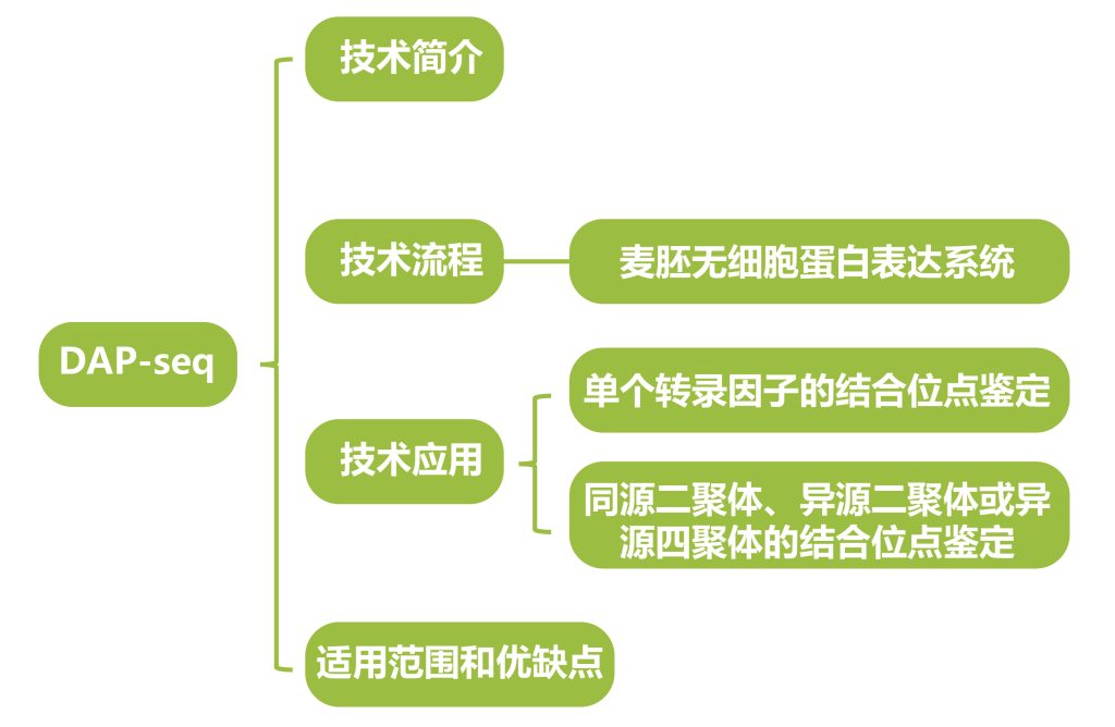 《鉴定转录因子结合位点的新技术——DAP-seq》