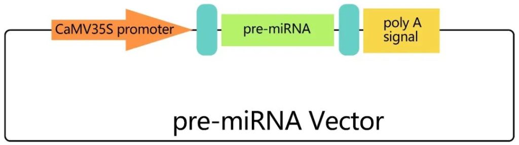 《植物microRNA研究入门指南》